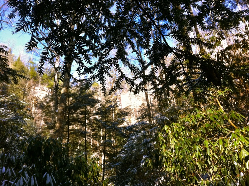 Winter on the Sheltowee Trace - 2